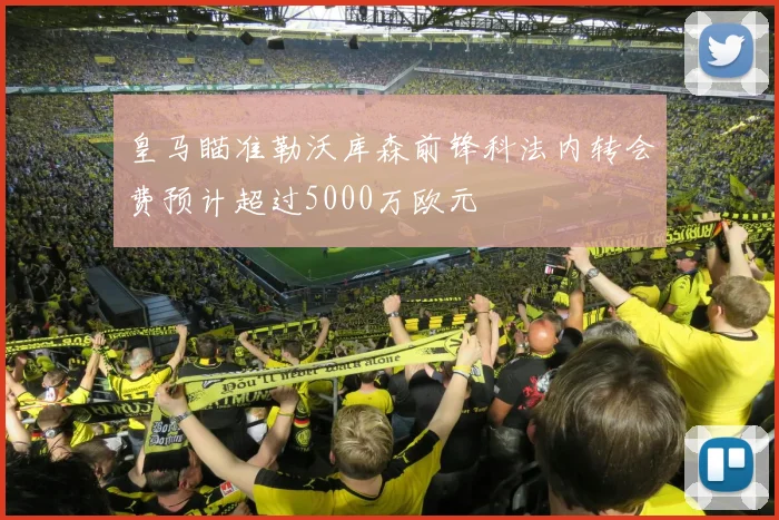 皇马瞄准勒沃库森前锋科法内转会费预计超过5000万欧元