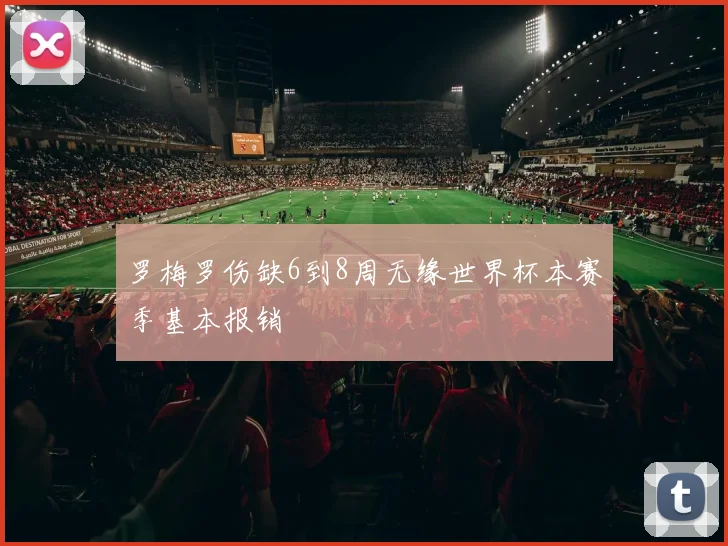 罗梅罗伤缺6到8周无缘世界杯本赛季基本报销